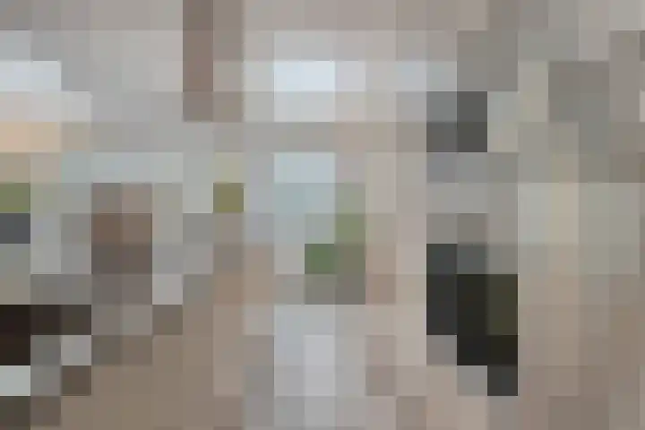De Vroente 168 Nuenen thumbnail 17