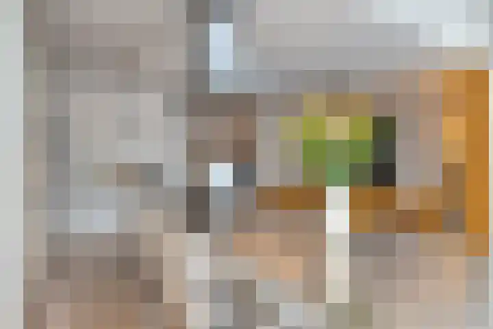 De Vroente 168 Nuenen thumbnail 18