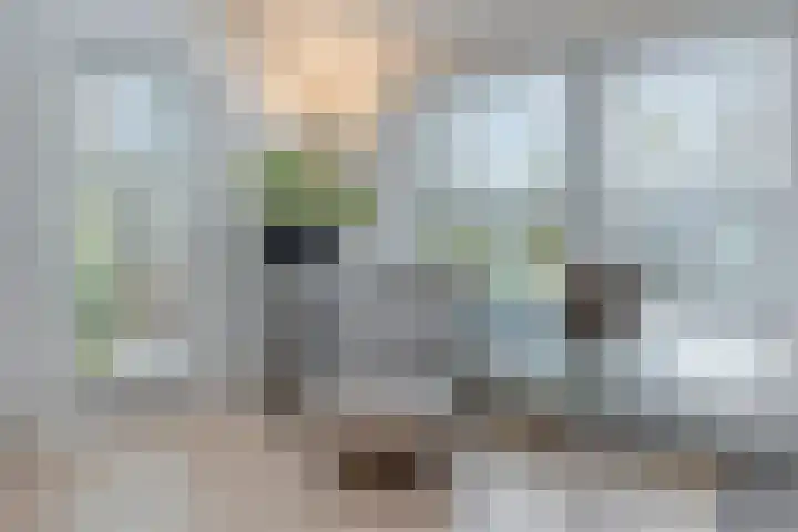 De Vroente 168 Nuenen thumbnail 19