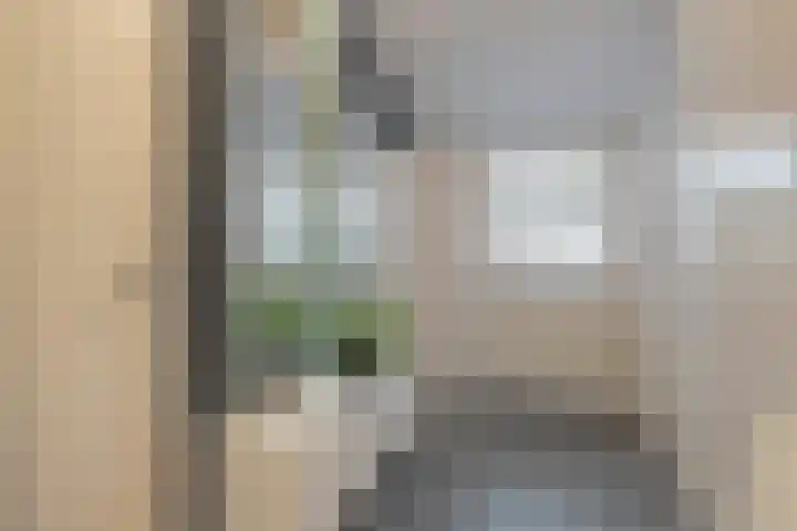 De Vroente 168 Nuenen thumbnail 20