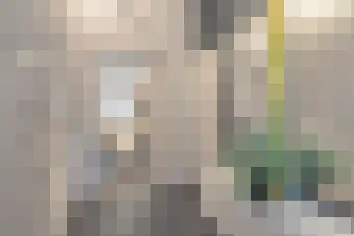 De Vroente 168 Nuenen thumbnail 21
