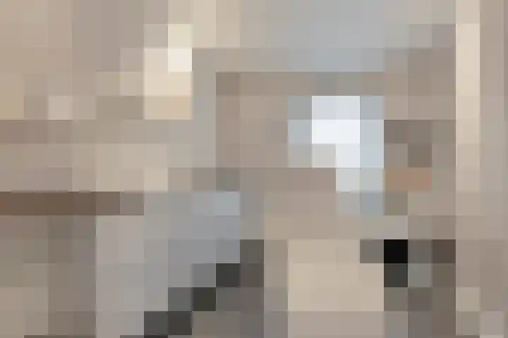 De Vroente 168 Nuenen thumbnail 22