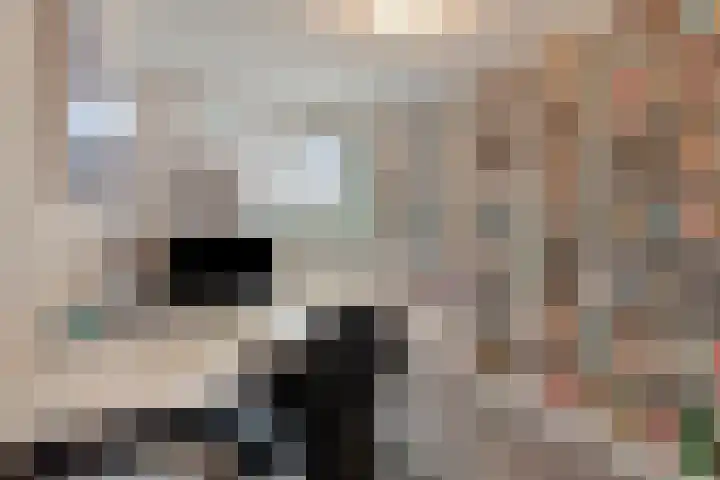 De Vroente 168 Nuenen thumbnail 25