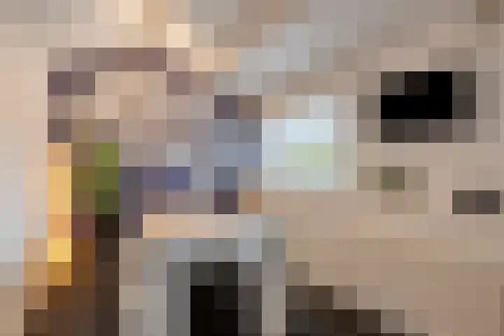 De Vroente 168 Nuenen thumbnail 30