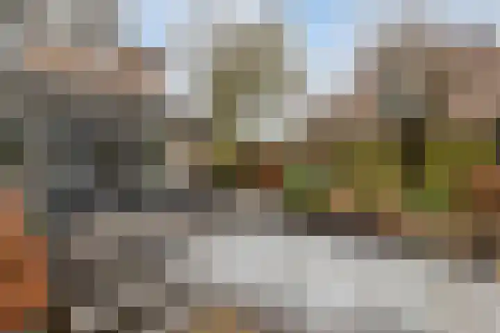 De Vroente 168 Nuenen thumbnail 32