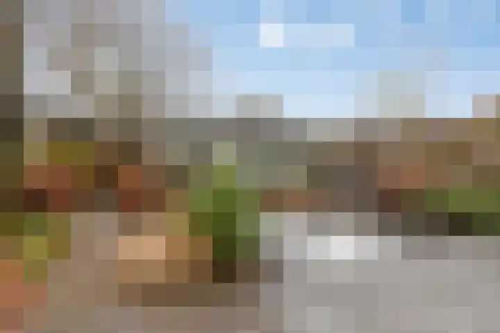 De Vroente 168 Nuenen thumbnail 34