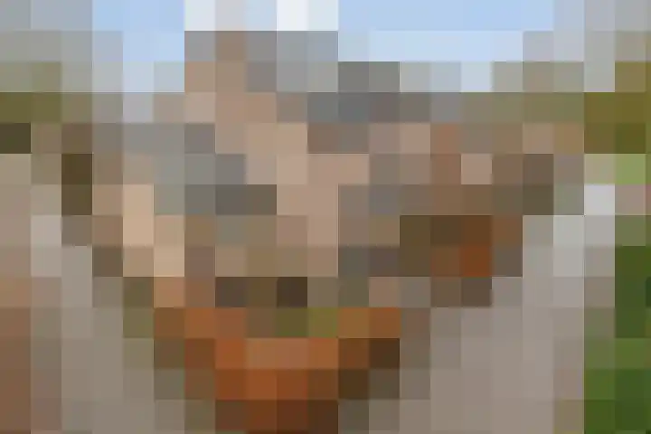 De Vroente 168 Nuenen thumbnail 35