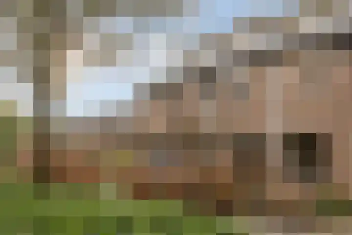 De Vroente 168 Nuenen thumbnail 37