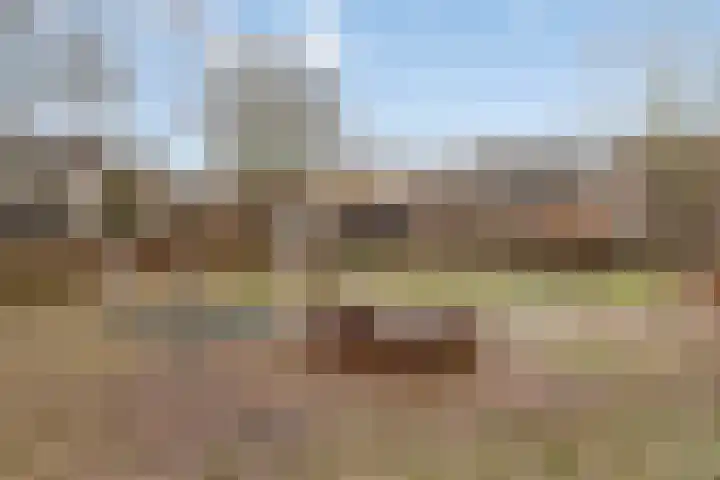 De Vroente 168 Nuenen thumbnail 38