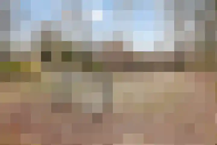De Vroente 168 Nuenen thumbnail 39