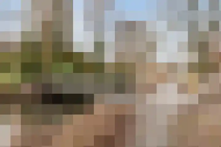 De Vroente 168 Nuenen thumbnail 40