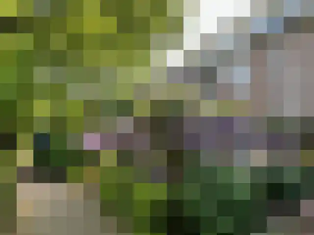 De Vroente 168 Nuenen thumbnail 42