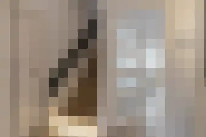 De Vroente 168 Nuenen thumbnail 7
