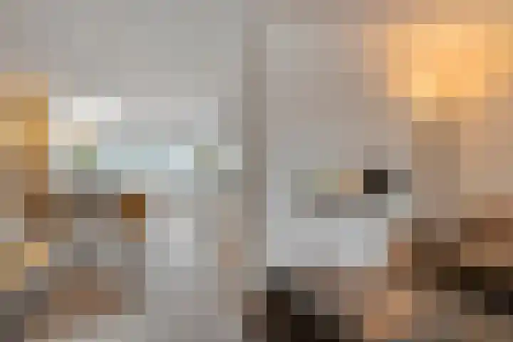 De Vroente 168 Nuenen thumbnail 9