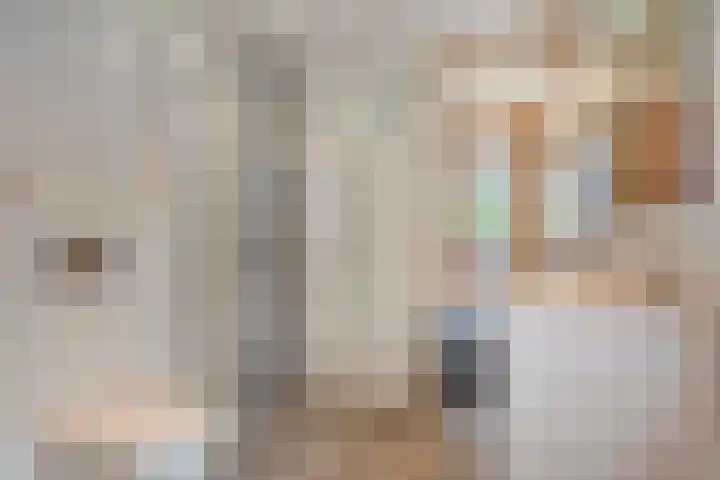 De Vroente 29 Nuenen thumbnail 26
