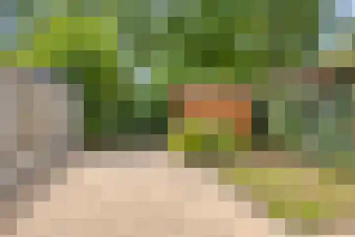 De Vroente 29 Nuenen thumbnail 29
