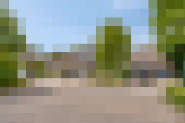 De Vroente 29 Nuenen foto 3