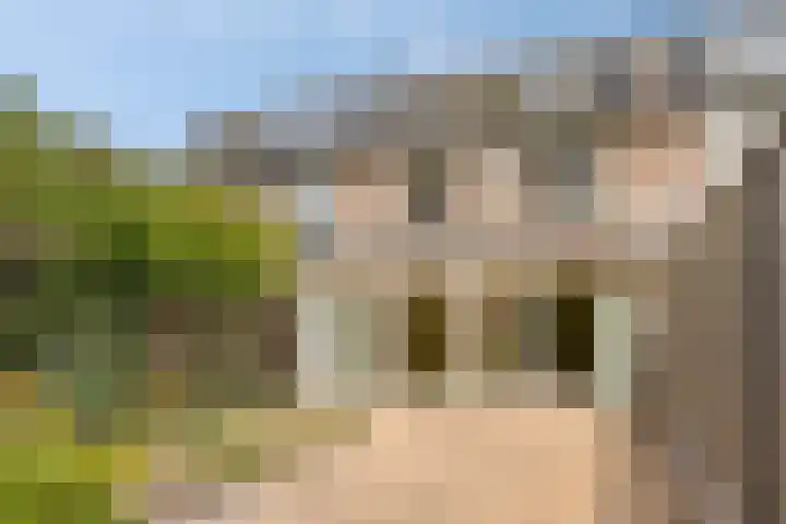 De Vroente 29 Nuenen thumbnail 30