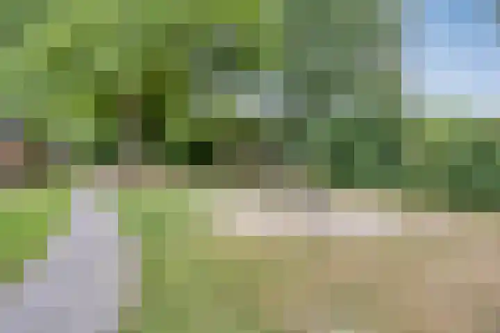 De Vroente 29 Nuenen thumbnail 31