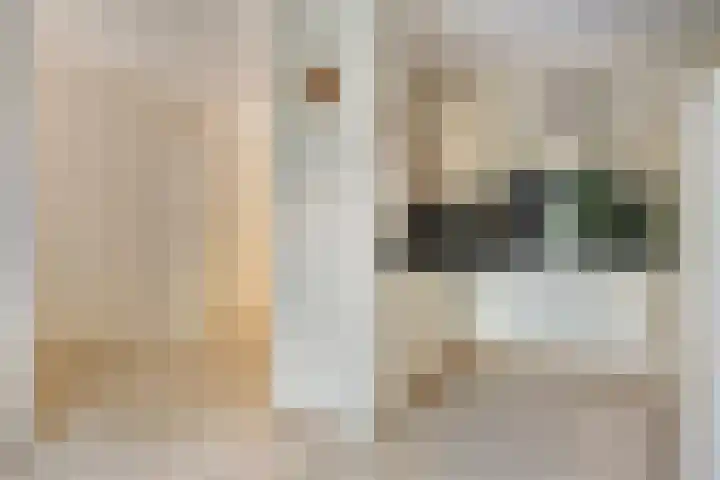 De Vroente 29 Nuenen thumbnail 9