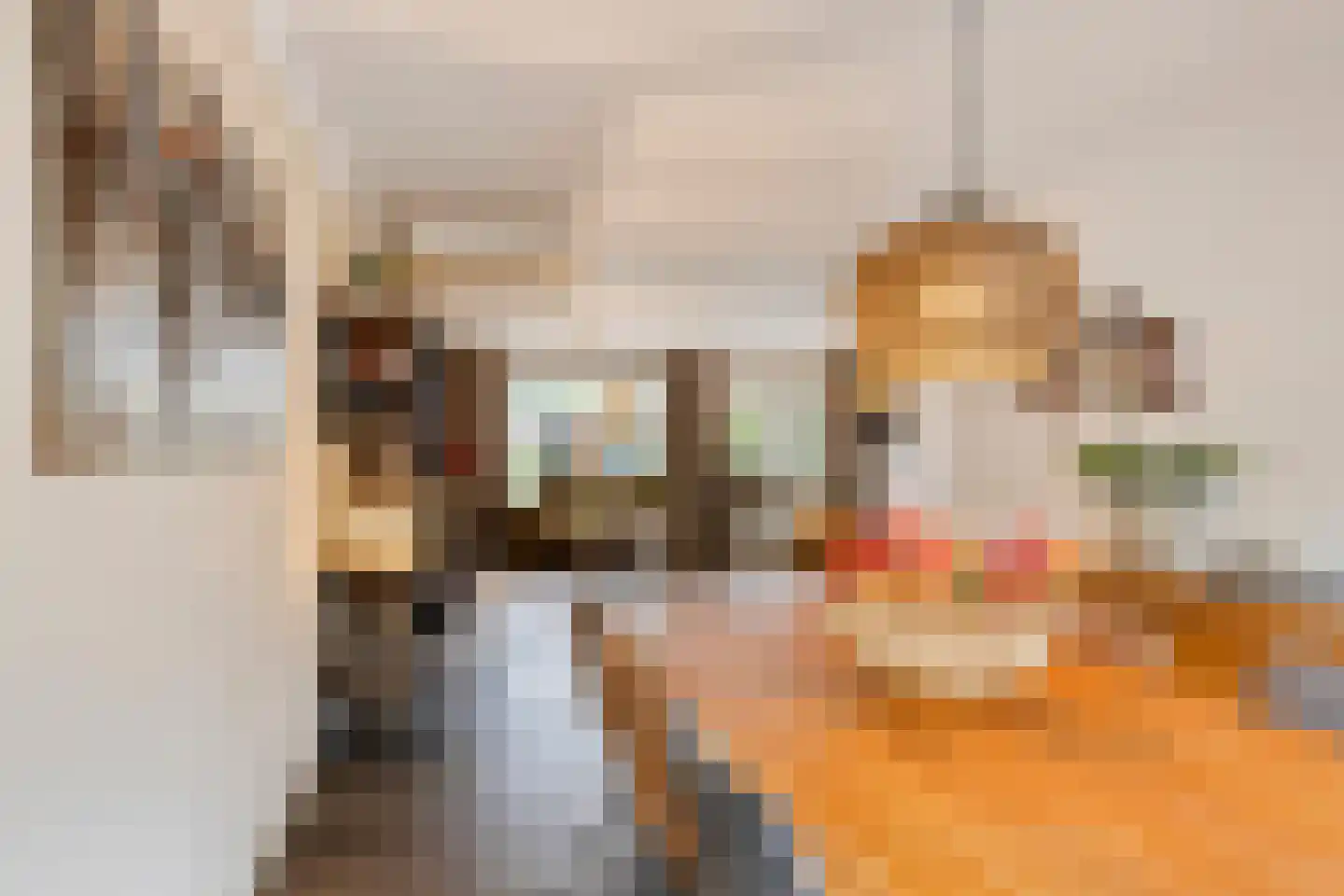 De Vroente 59 Nuenen thumbnail 12