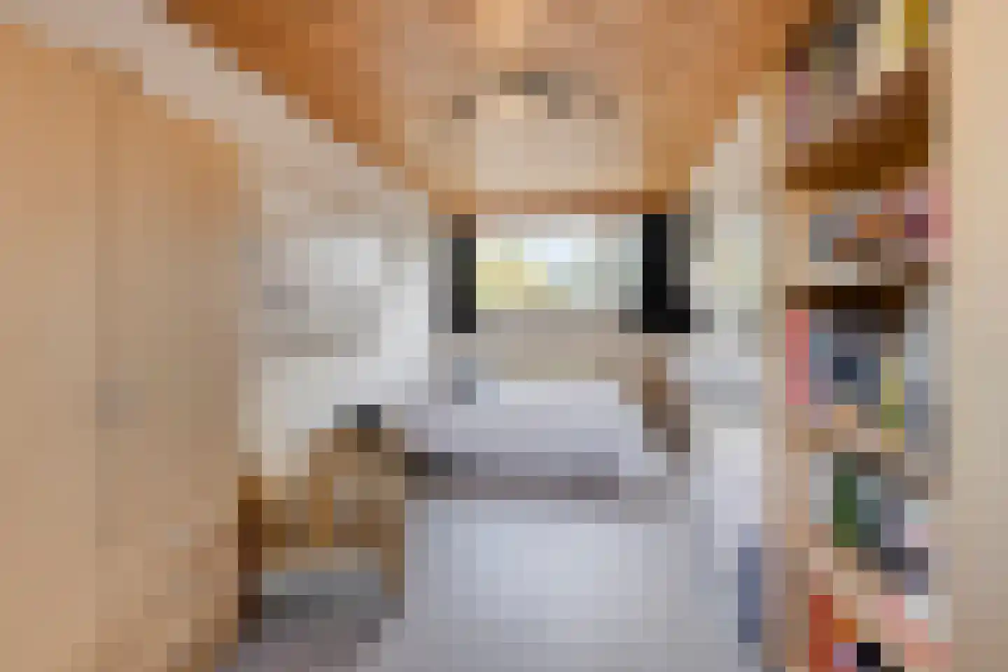 De Vroente 59 Nuenen thumbnail 21