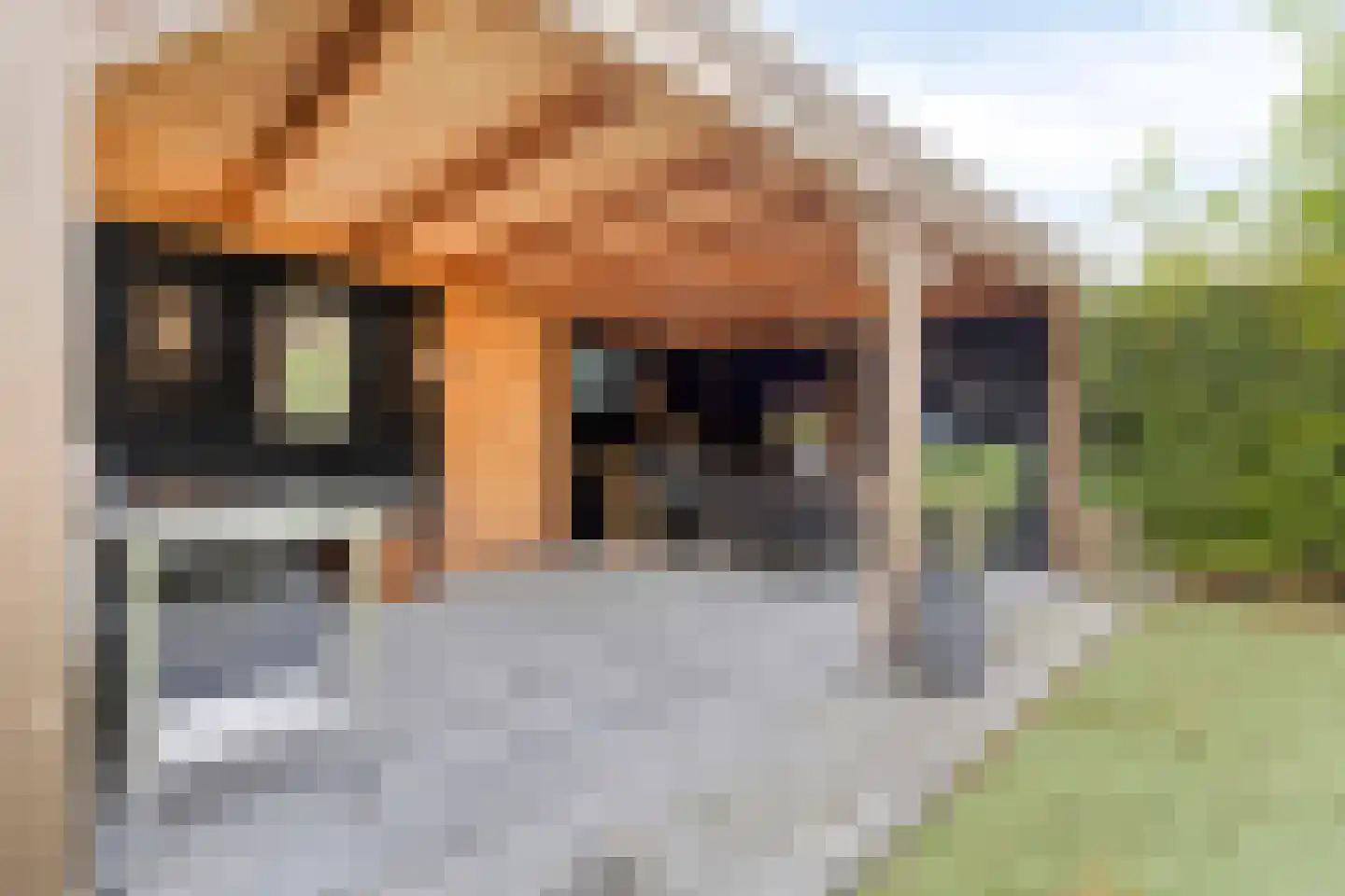 De Vroente 59 Nuenen thumbnail 28