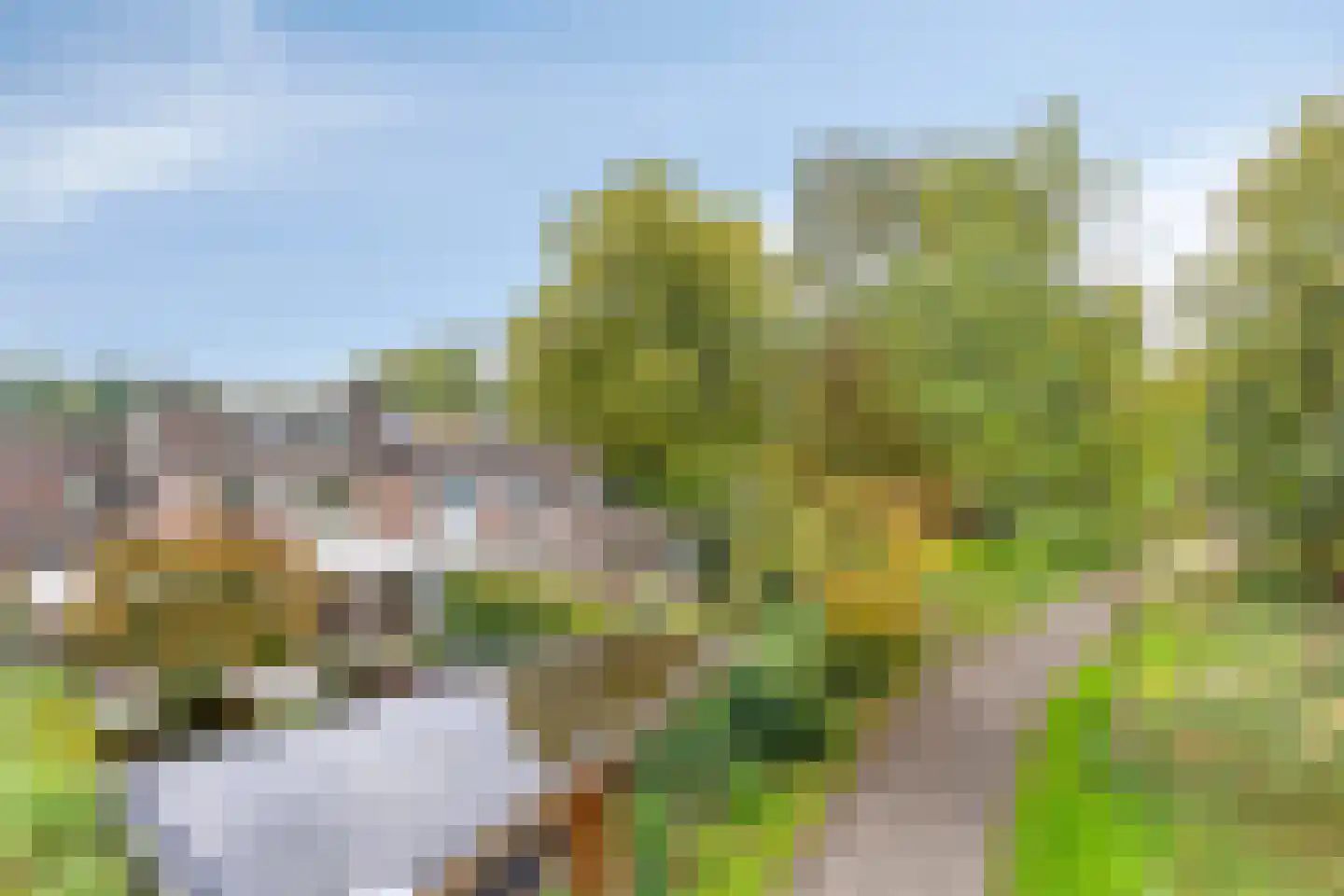De Vroente 59 Nuenen thumbnail 31