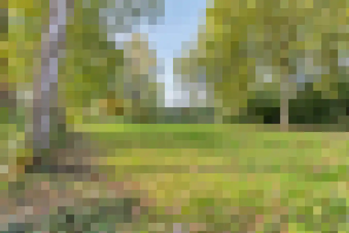 De Vroente 59 Nuenen thumbnail 33