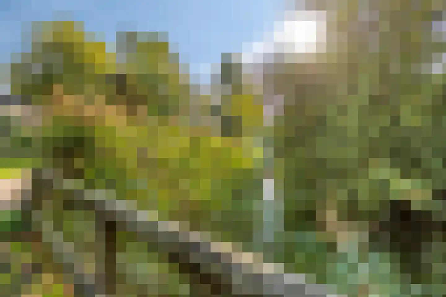 De Vroente 59 Nuenen thumbnail 34