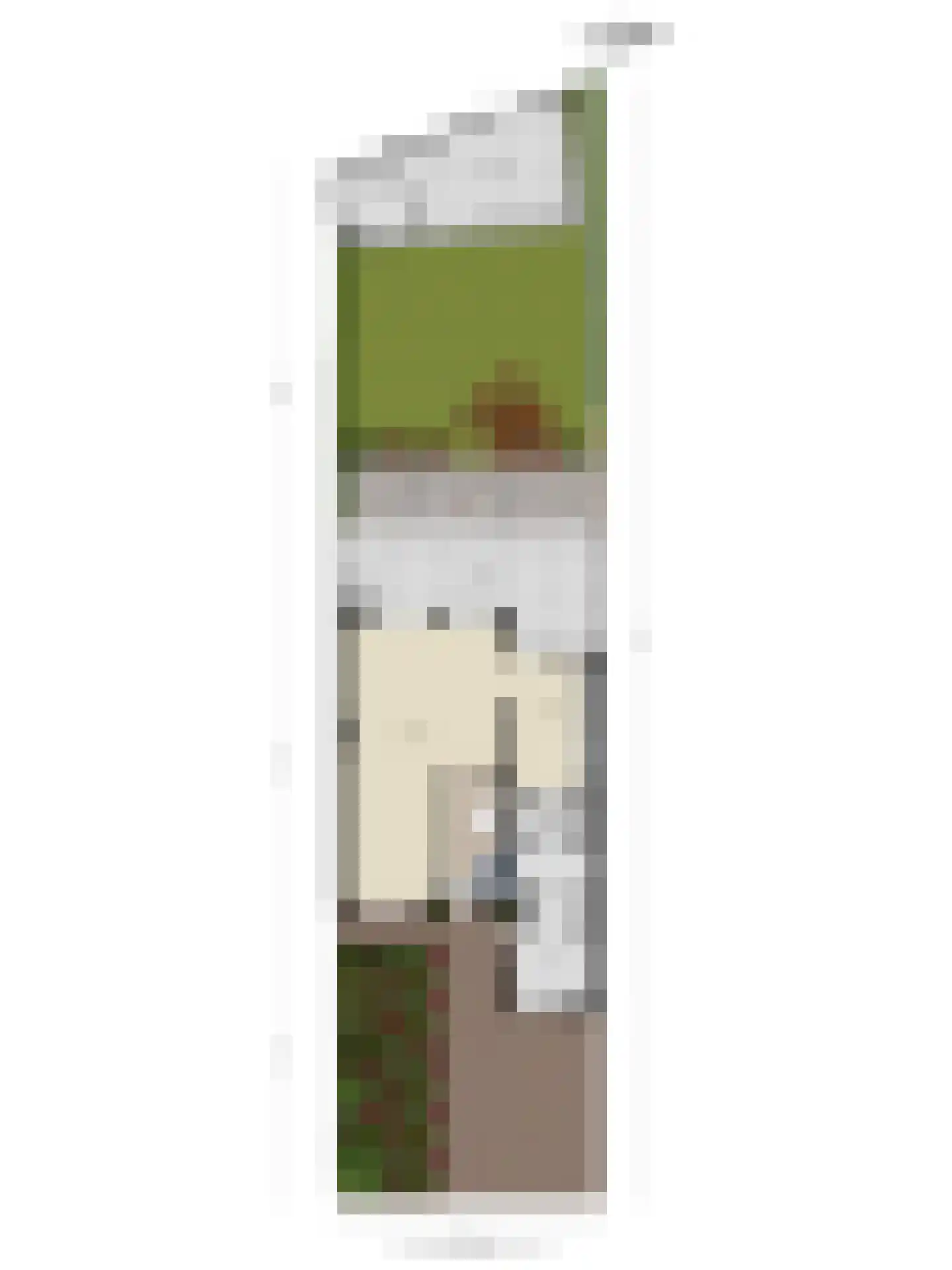 De Vroente 59 Nuenen thumbnail 35