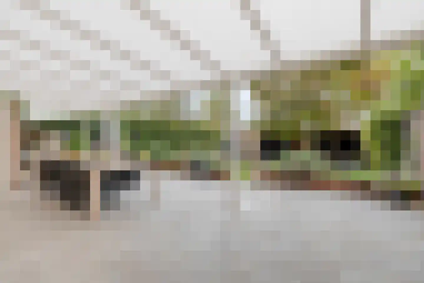 De Vroente 59 Nuenen thumbnail 5