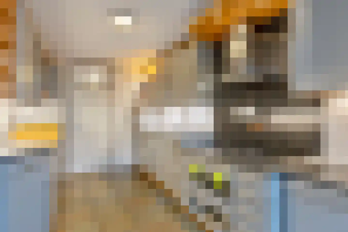 De Vroente 61 Nuenen thumbnail 18