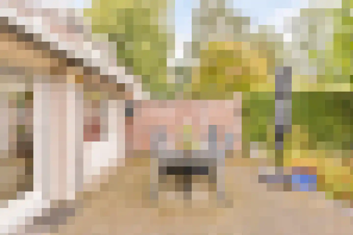 De Vroente 61 Nuenen thumbnail 33