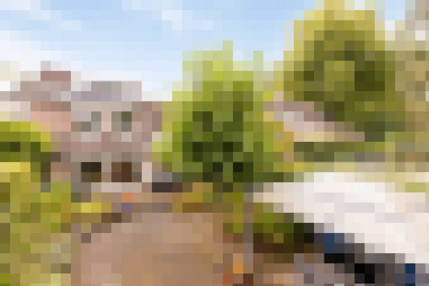 De Vroente 61 Nuenen thumbnail 36