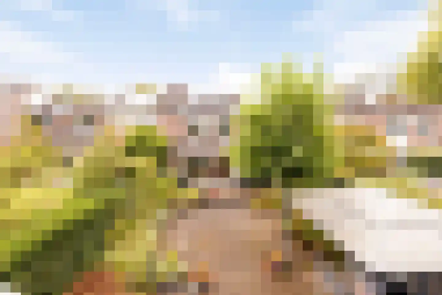 De Vroente 61 Nuenen thumbnail 37