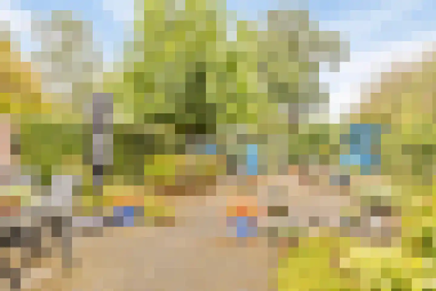 De Vroente 61 Nuenen thumbnail 4