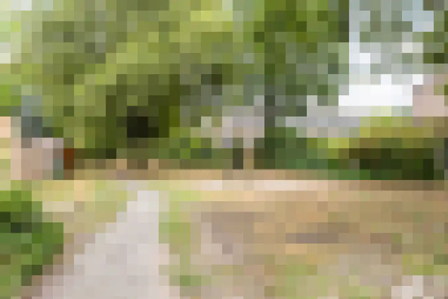 De Vroente 61 Nuenen thumbnail 41
