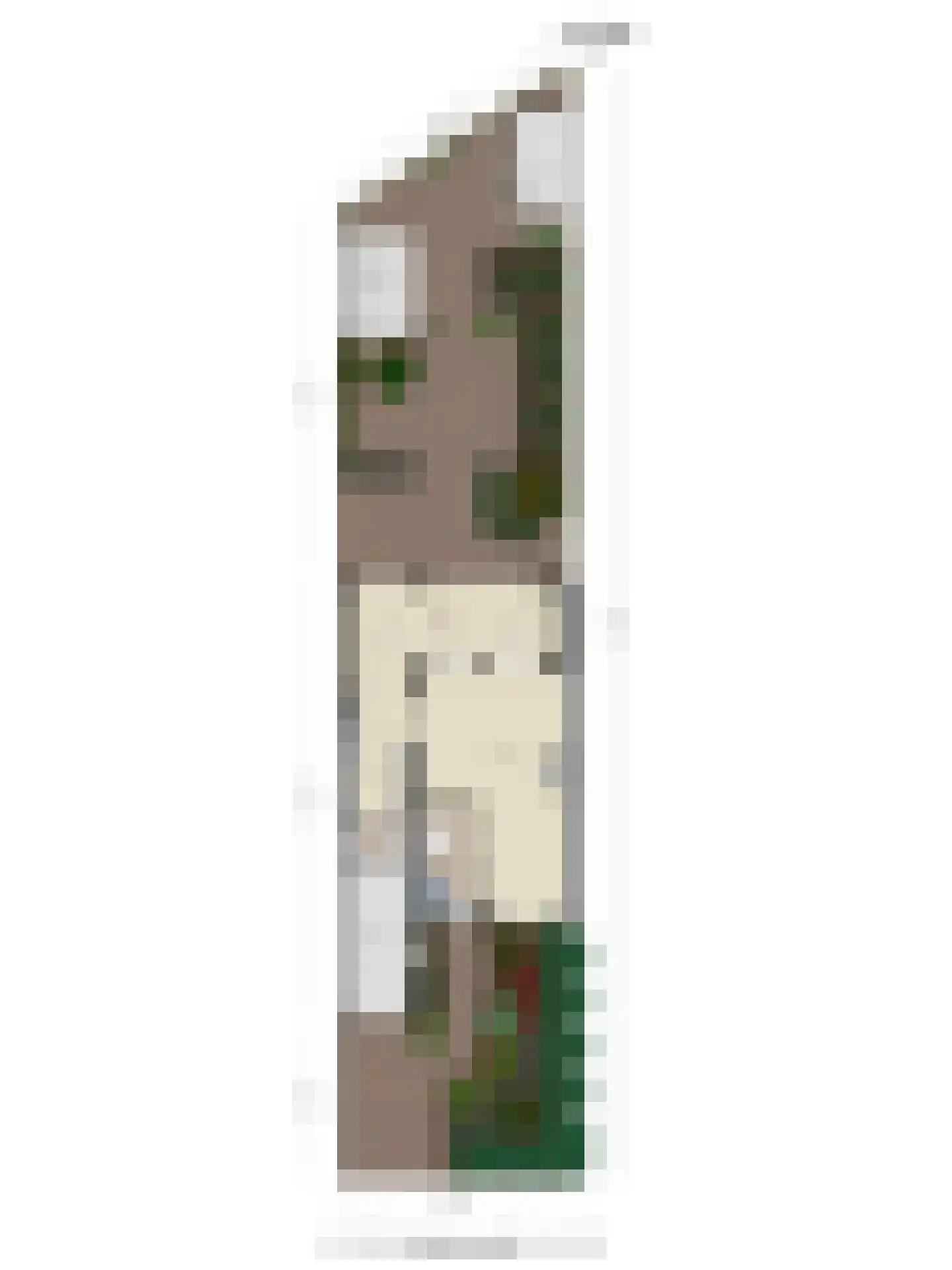 De Vroente 61 Nuenen thumbnail 43