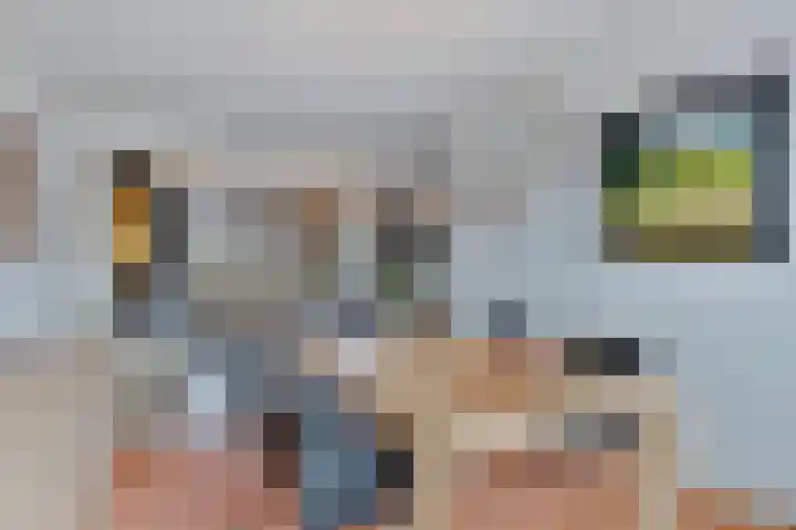 De Vroente 99 Nuenen thumbnail 10