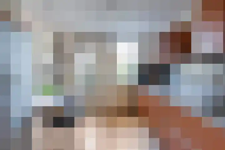 De Vroente 99 Nuenen thumbnail 14