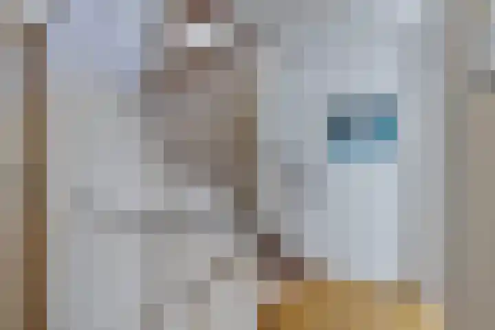 De Vroente 99 Nuenen thumbnail 15