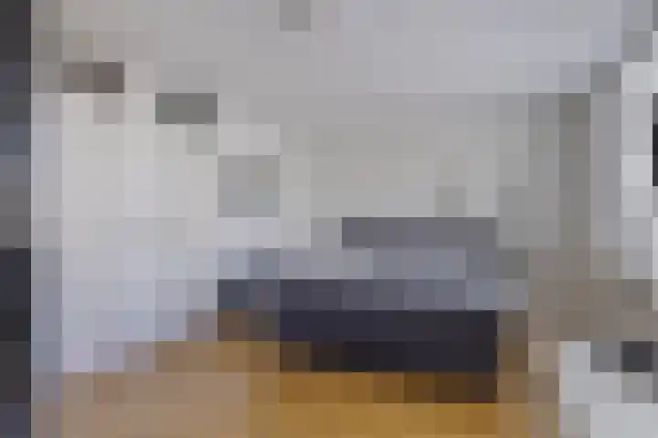 De Vroente 99 Nuenen thumbnail 16