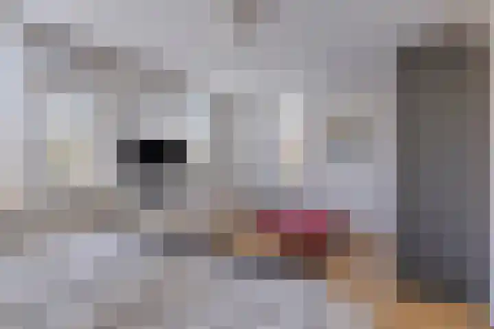 De Vroente 99 Nuenen thumbnail 17