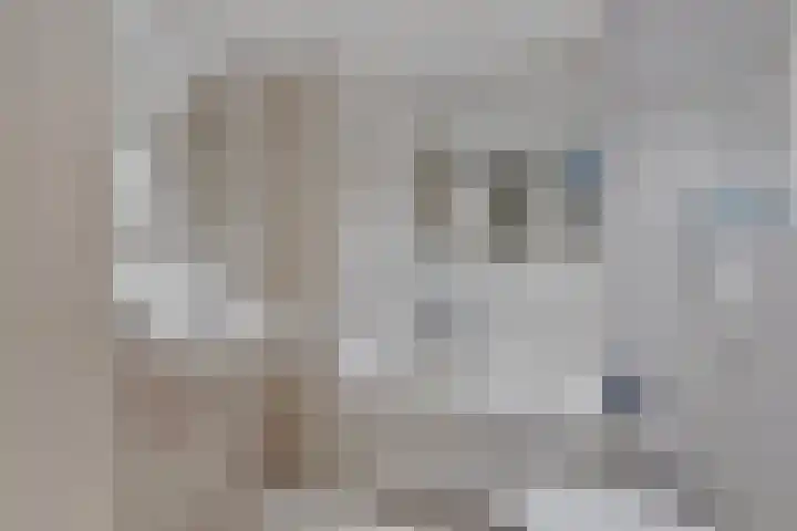 De Vroente 99 Nuenen thumbnail 21