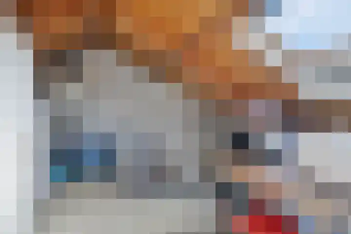 De Vroente 99 Nuenen thumbnail 24