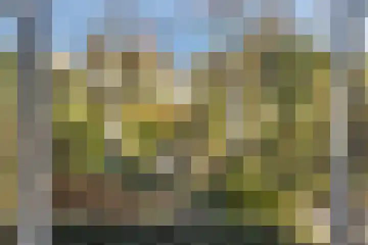 De Vroente 99 Nuenen thumbnail 28