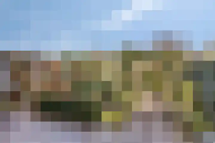 De Vroente 99 Nuenen thumbnail 29
