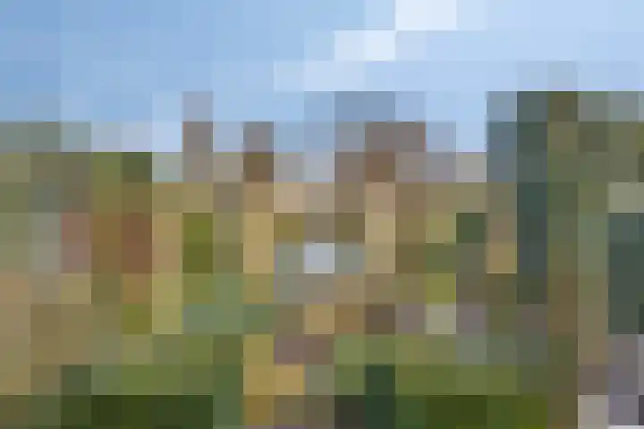 De Vroente 99 Nuenen thumbnail 30