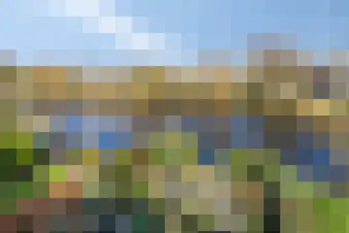 De Vroente 99 Nuenen thumbnail 32
